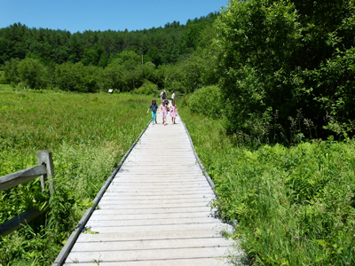 Marsh Boardwalk