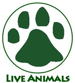 Live Animals