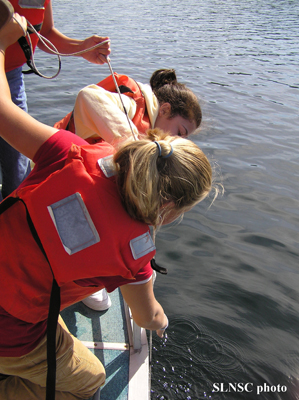 Lake Ecology on Squam Lake