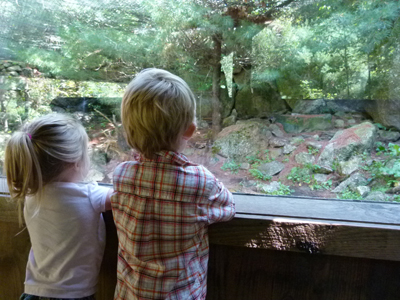 Pre-school programs at Squam Lakes Natural Science Center