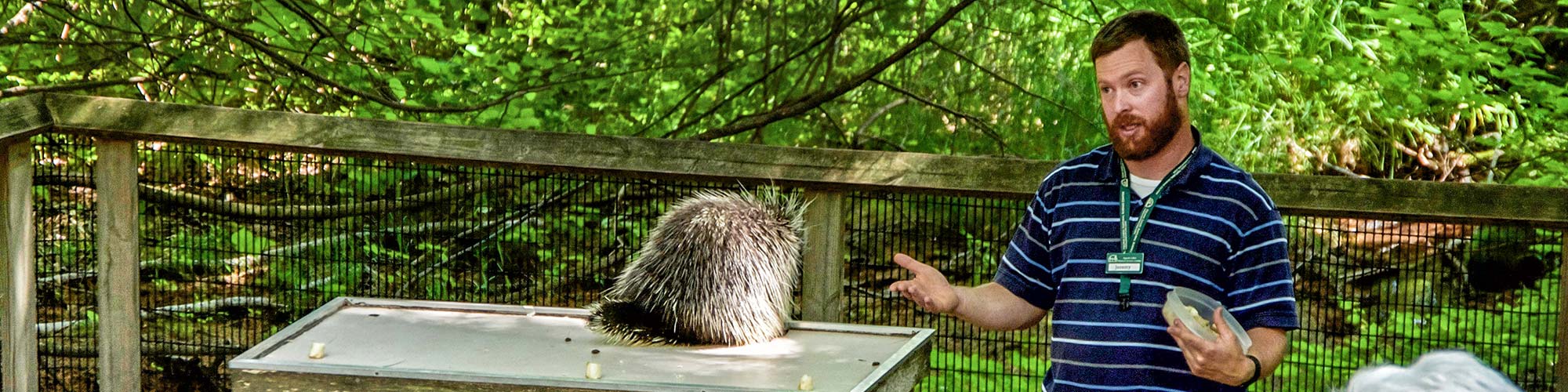 Staff talking about Porcupines