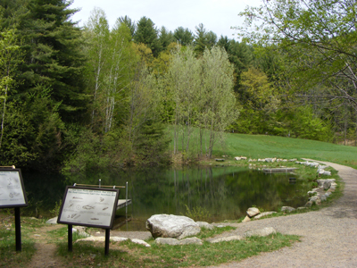 Upper Pond