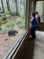Black Bear on left side of window facing children, two children watching from right side of window.